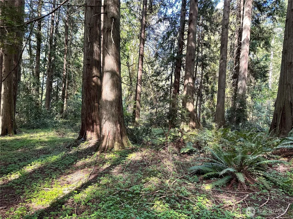 0 Lot 31 NW Lakeness Poulsbo, WA 98370