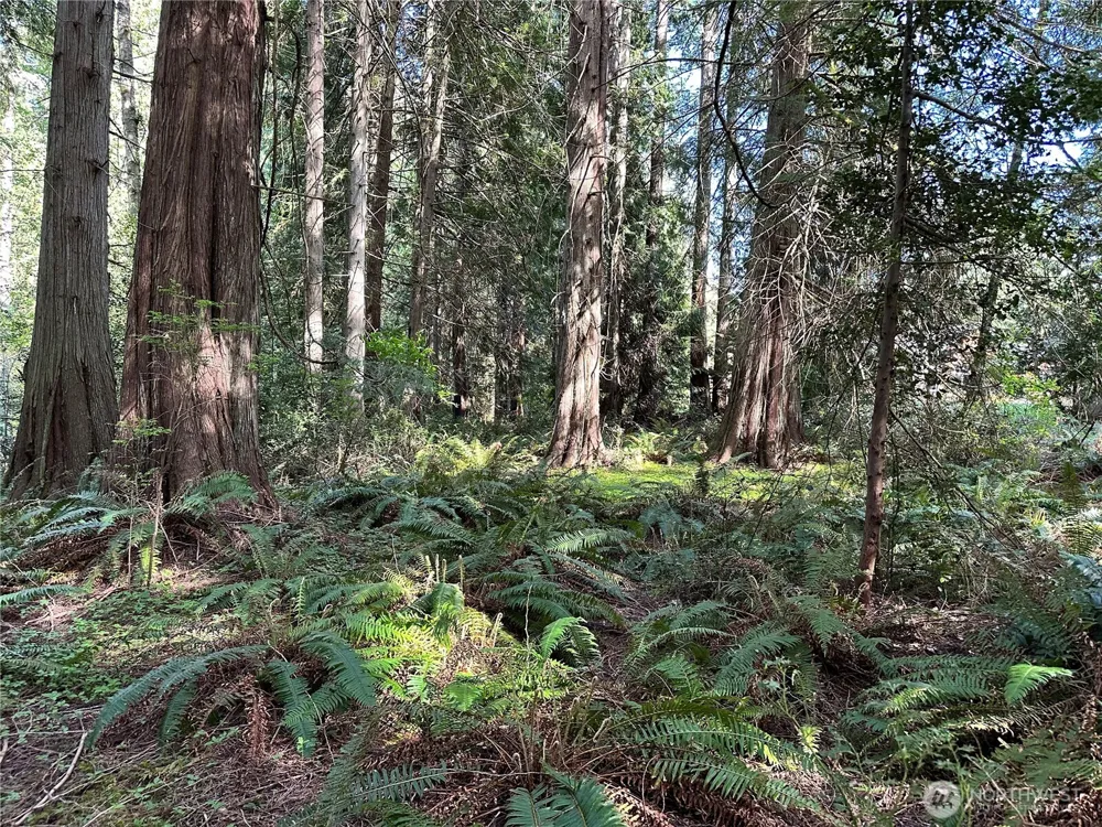 0 Lot 31 NW Lakeness Poulsbo, WA 98370