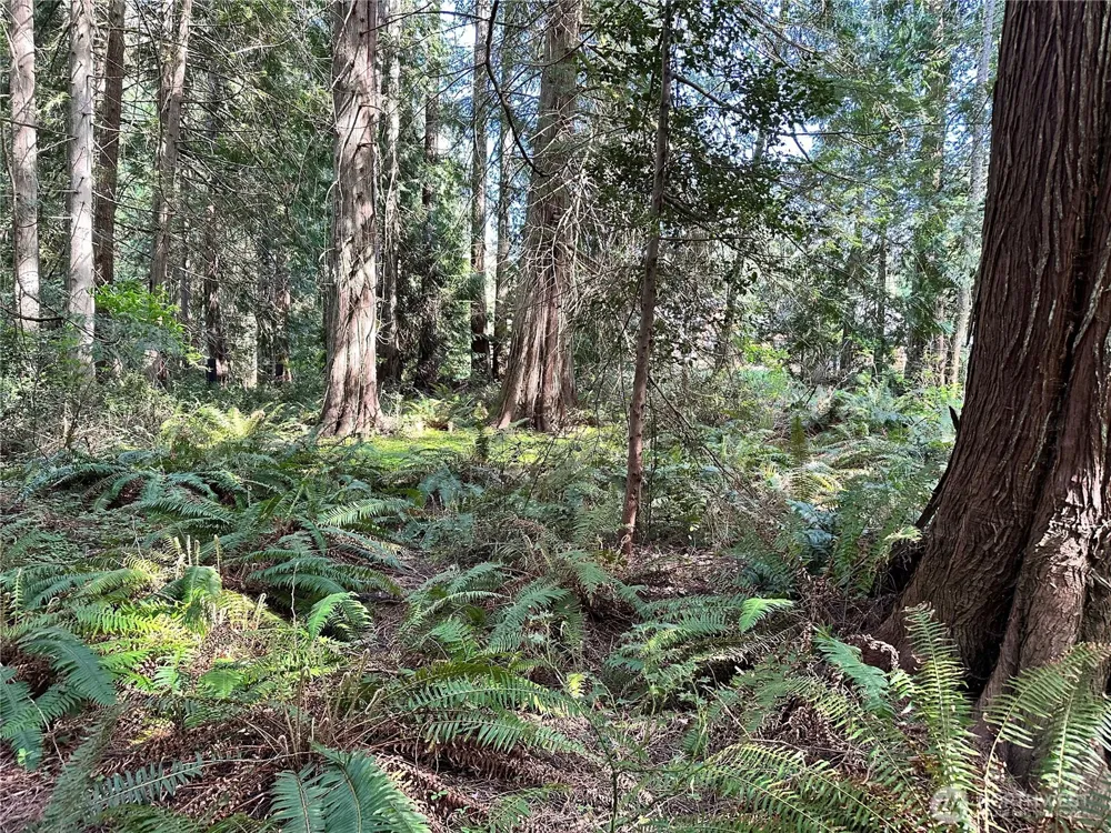 0 Lot 31 NW Lakeness Poulsbo, WA 98370