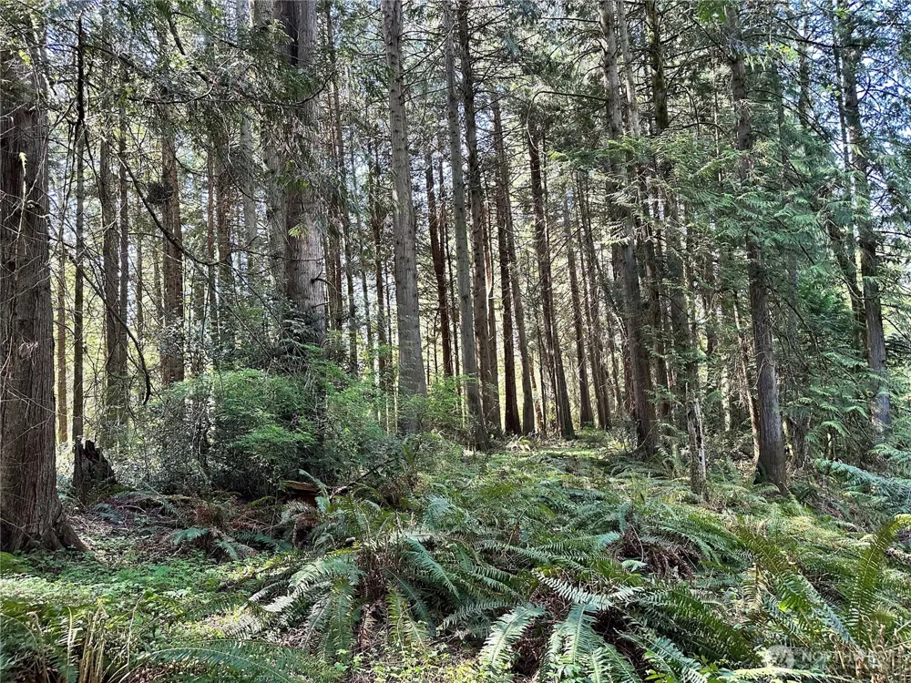 0 Lot 31 NW Lakeness Poulsbo, WA 98370
