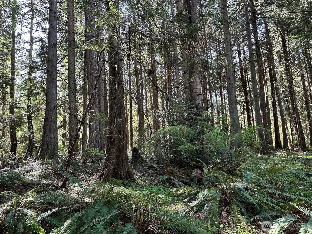 0 Lot 31 NW Lakeness Poulsbo, WA 98370