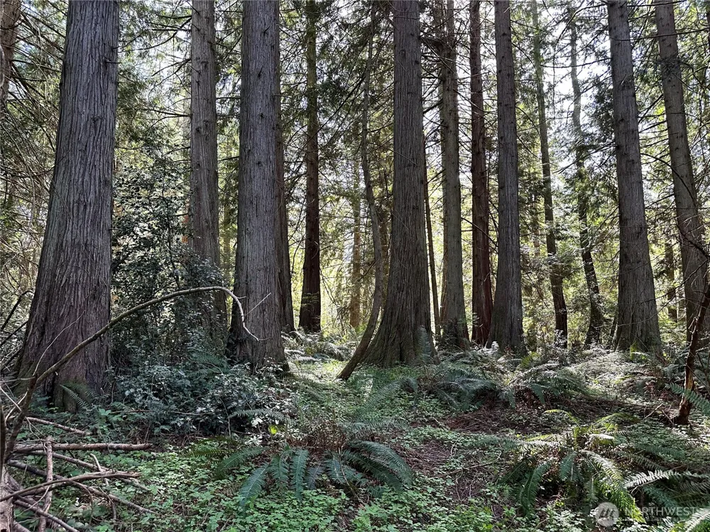 0 Lot 31 NW Lakeness Poulsbo, WA 98370