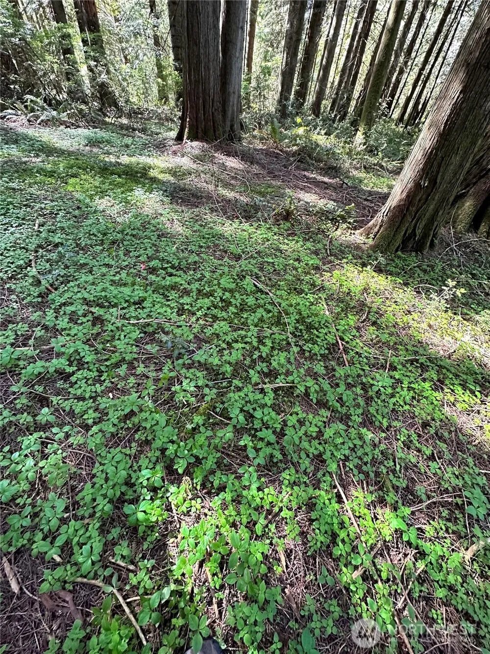 0 Lot 31 NW Lakeness Poulsbo, WA 98370
