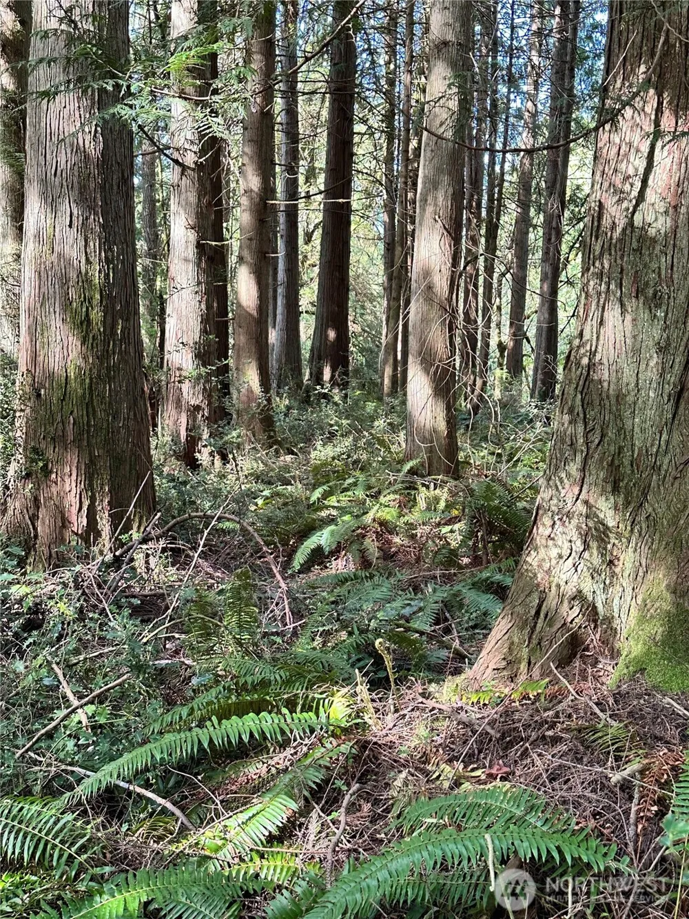 0 Lot 31 NW Lakeness Poulsbo, WA 98370