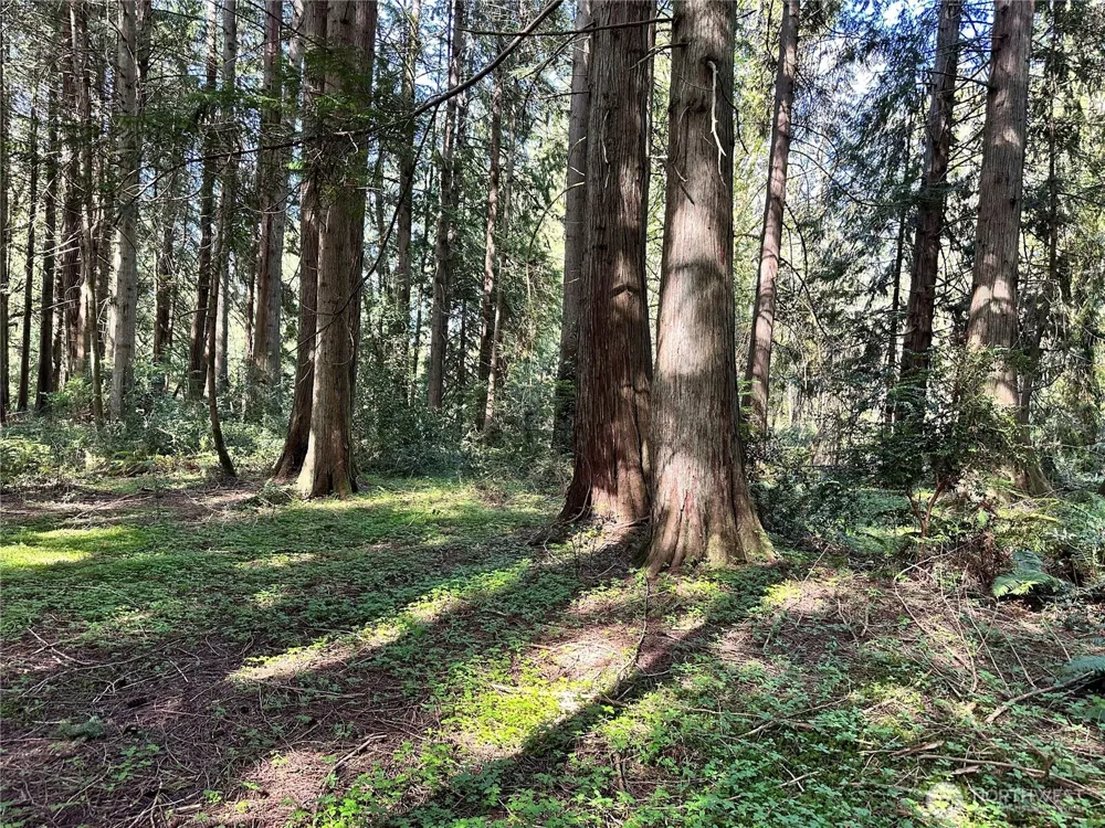 0 Lot 31 NW Lakeness Poulsbo, WA 98370