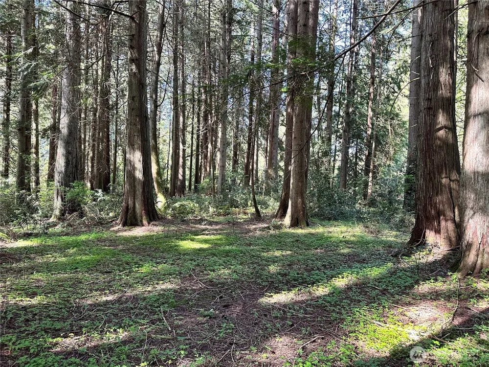 0 Lot 31 NW Lakeness Poulsbo, WA 98370