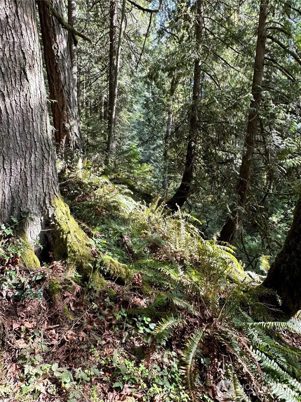 0 Lot 31 NW Lakeness Poulsbo, WA 98370