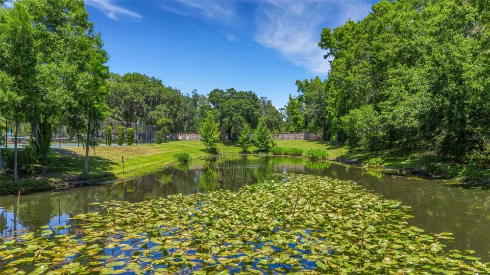 6560 LAKE CLARK DRIVE Lakeland, FL 33813