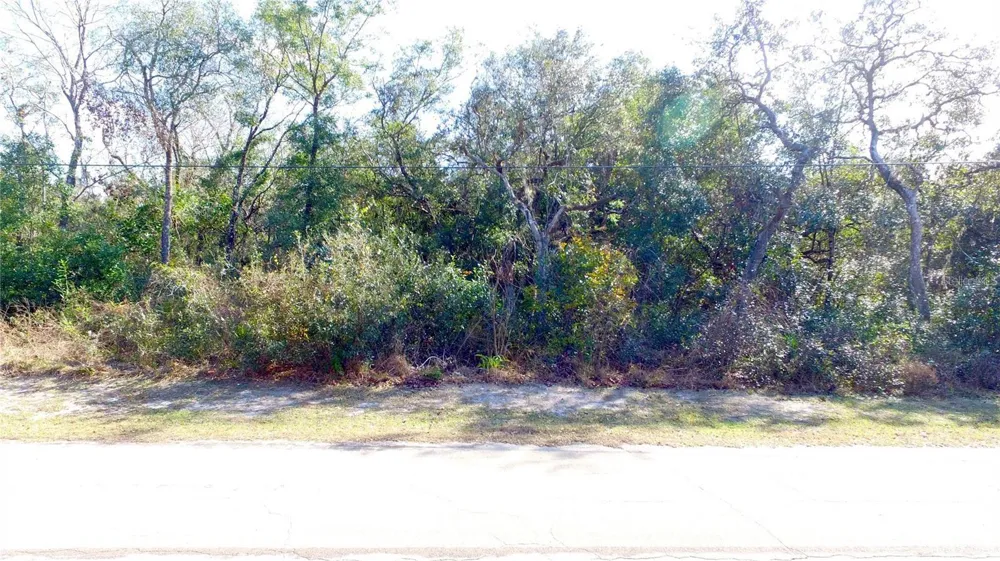 11142 E SAILFISH WAY Floral City, FL 34436