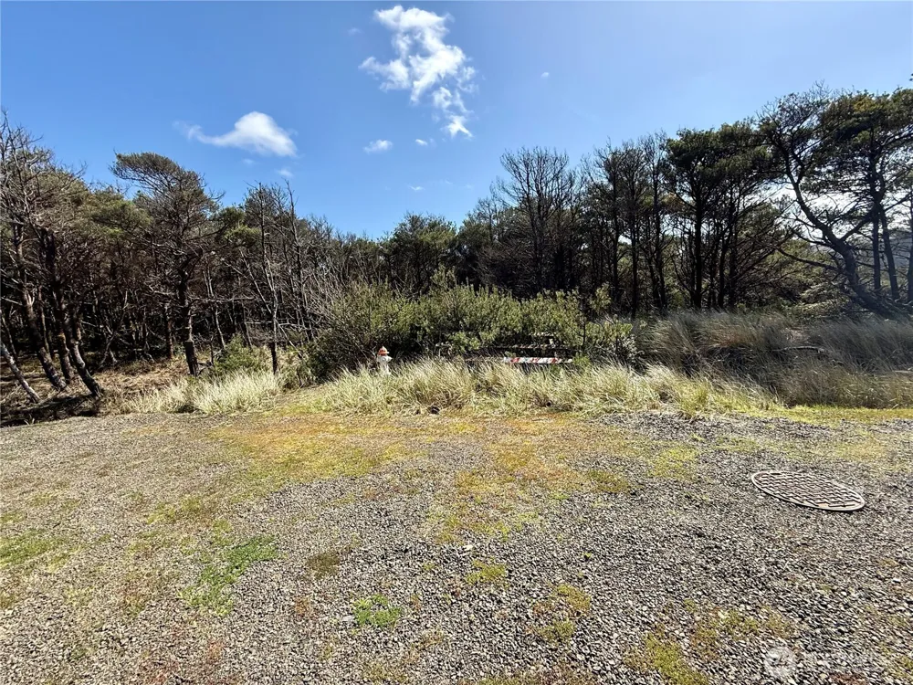 1005 Sand Castle Lane Westport, WA 98595