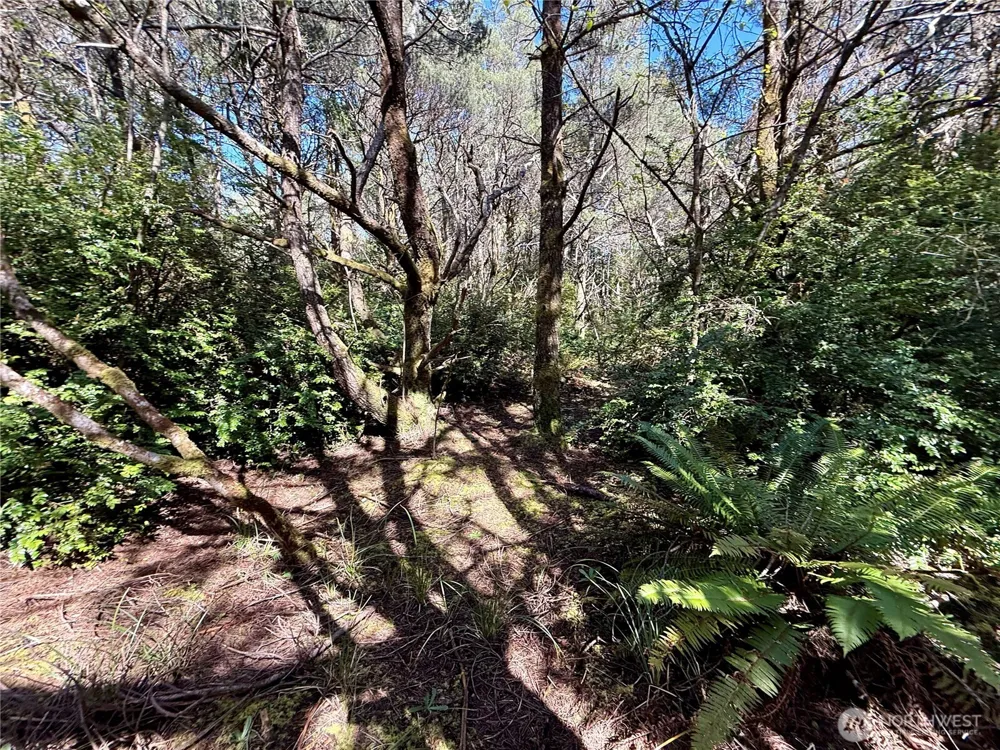 1005 Sand Castle Lane Westport, WA 98595