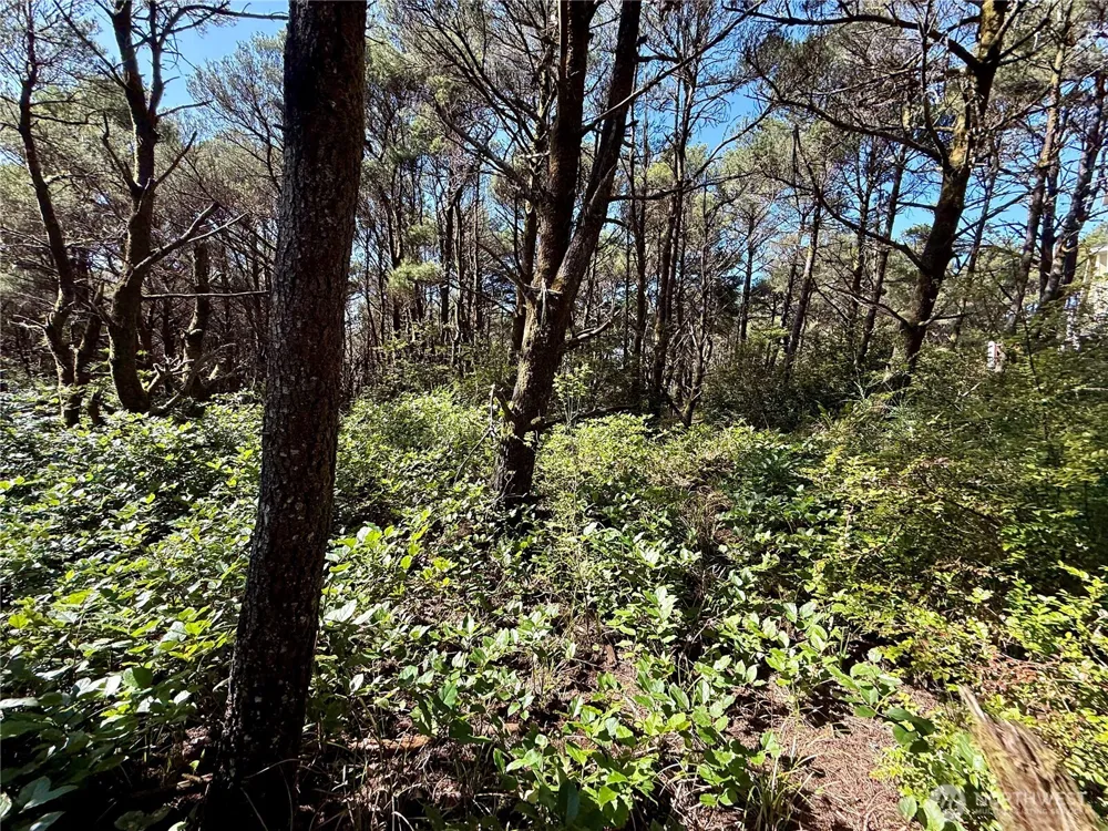 1005 Sand Castle Lane Westport, WA 98595