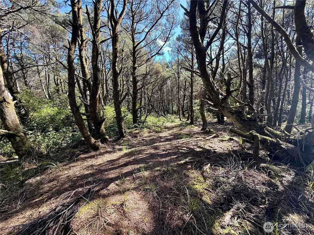1005 Sand Castle Lane Westport, WA 98595