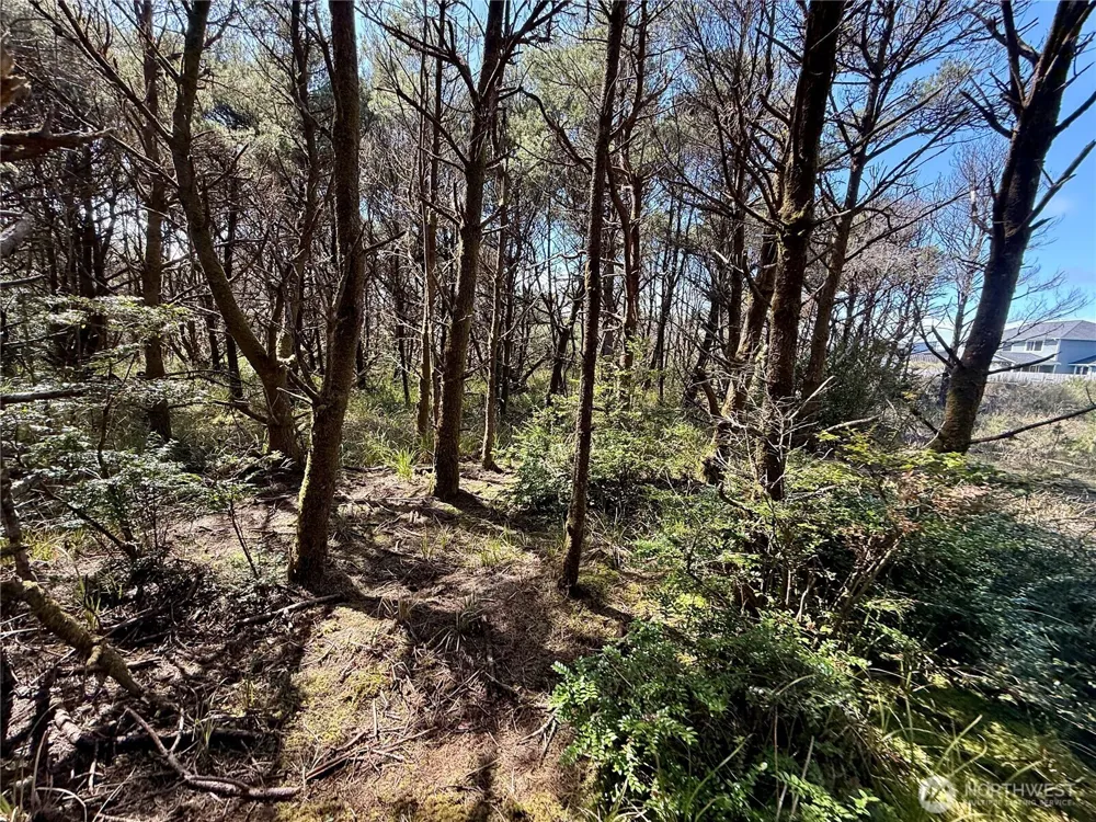 1005 Sand Castle Lane Westport, WA 98595