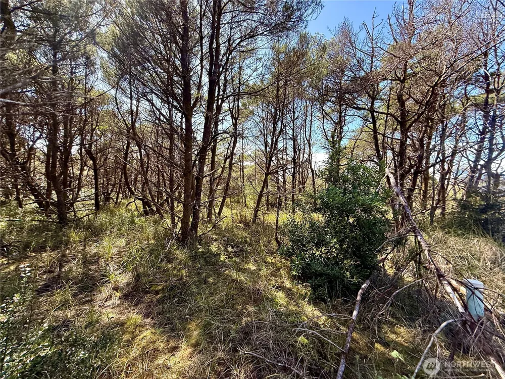 1005 Sand Castle Lane Westport, WA 98595