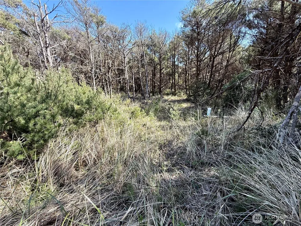 1005 Sand Castle Lane Westport, WA 98595