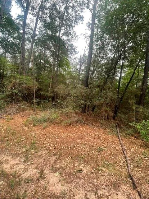16862 Big Brave Circle