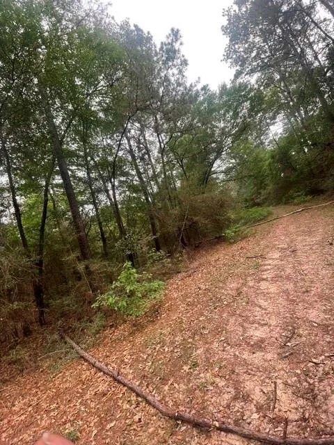 16862 Big Brave Circle Hempstead, TX 77445