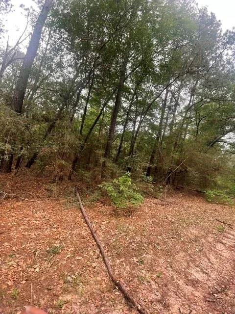 16862 Big Brave Circle Hempstead, TX 77445