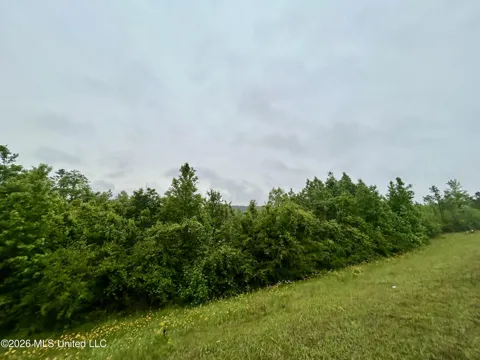 Ferguson Mill Road