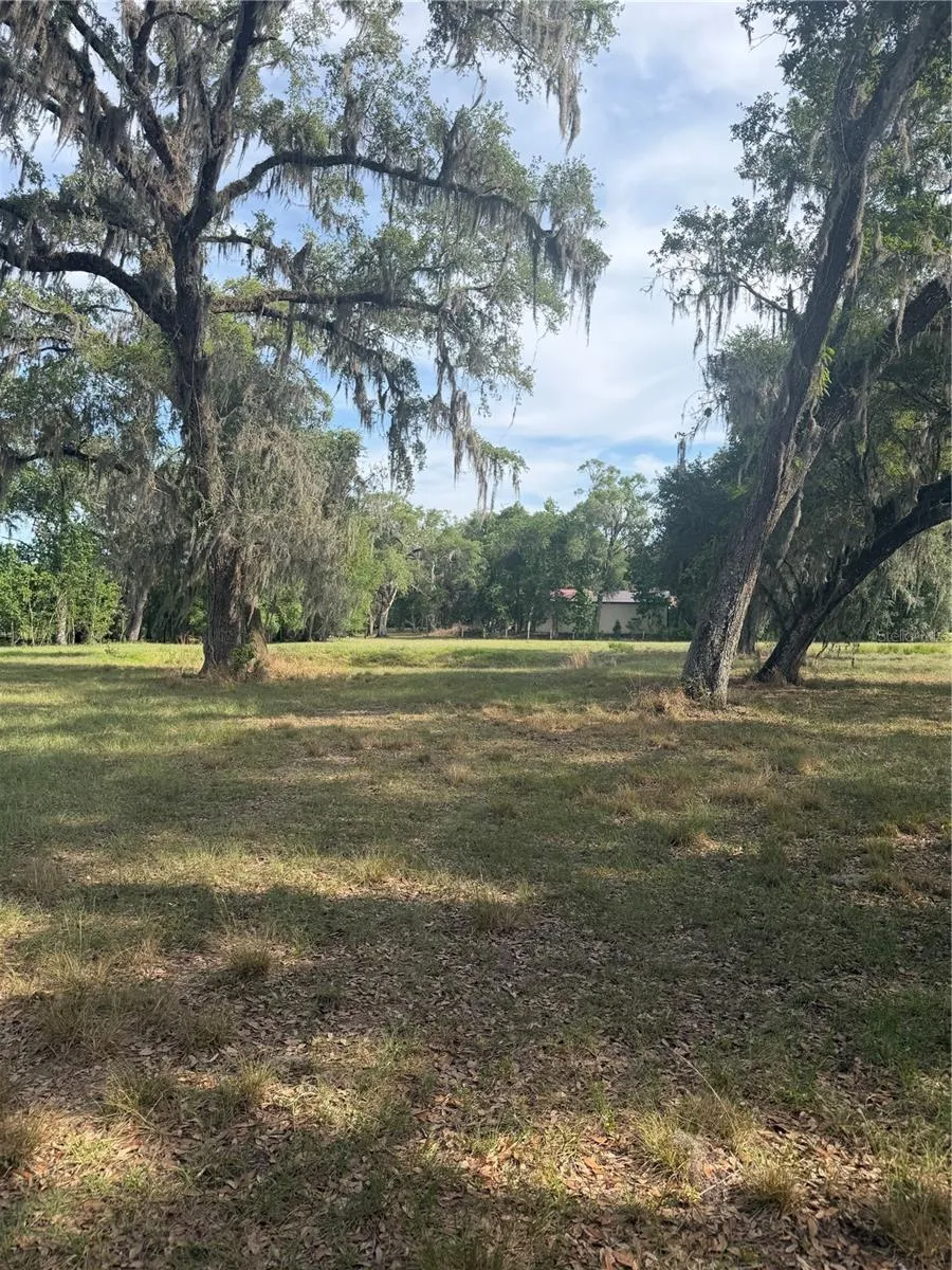 000 PALOMINO LAKES DR Dade City, FL 33523