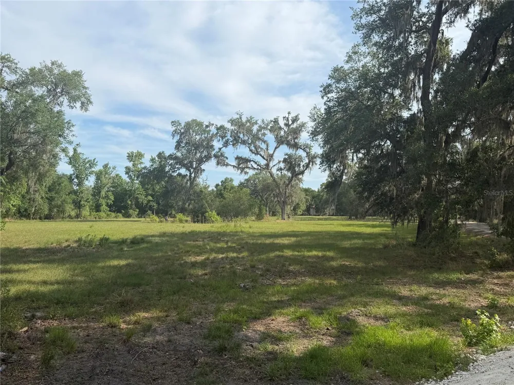 000 PALOMINO LAKES DR Dade City, FL 33523