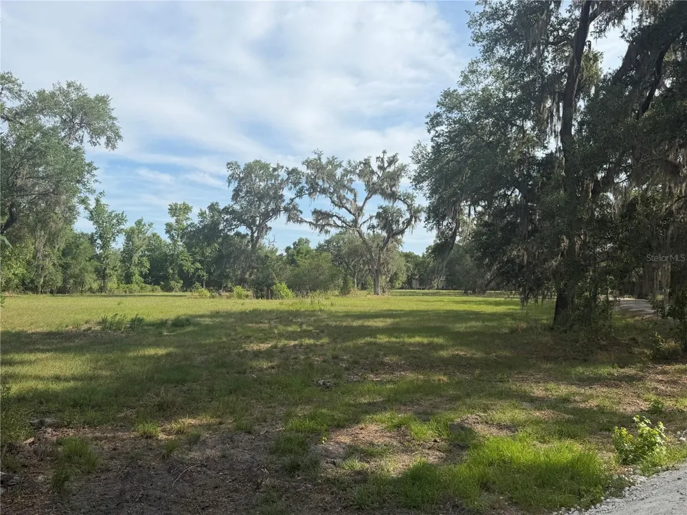 000 PALOMINO LAKES DR Dade City, FL 33523