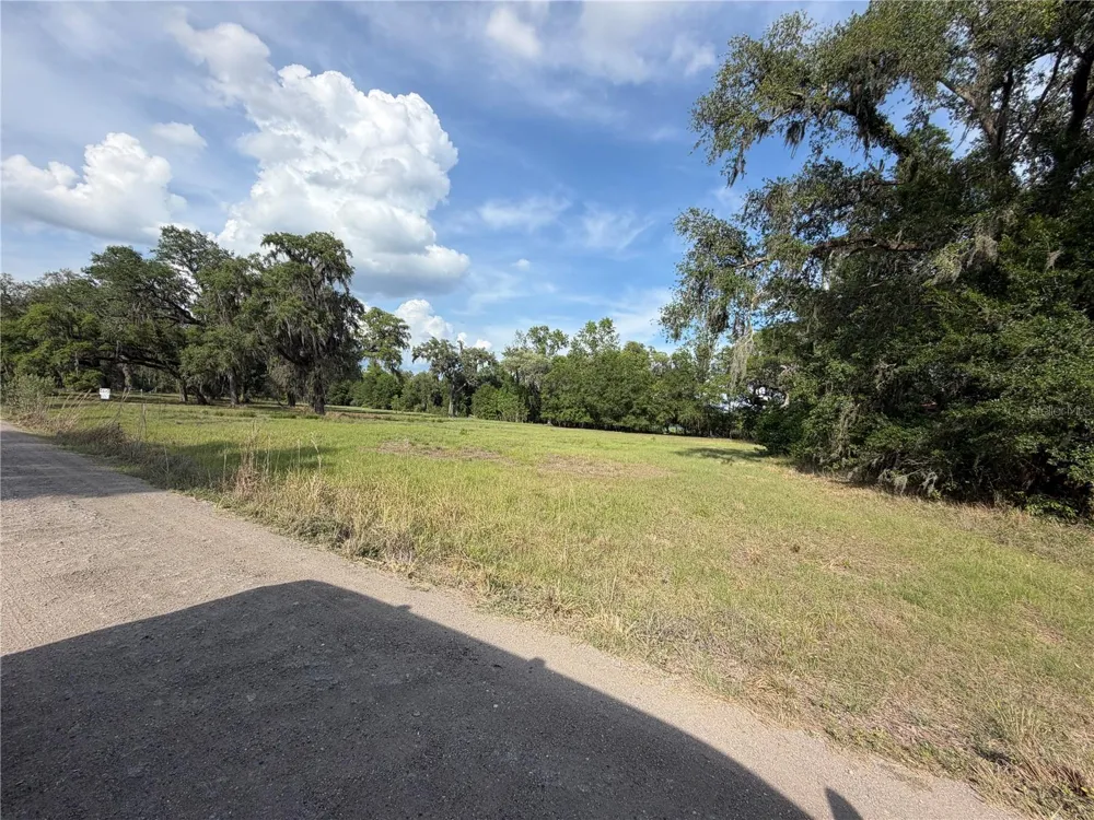 000 PALOMINO LAKES DR Dade City, FL 33523