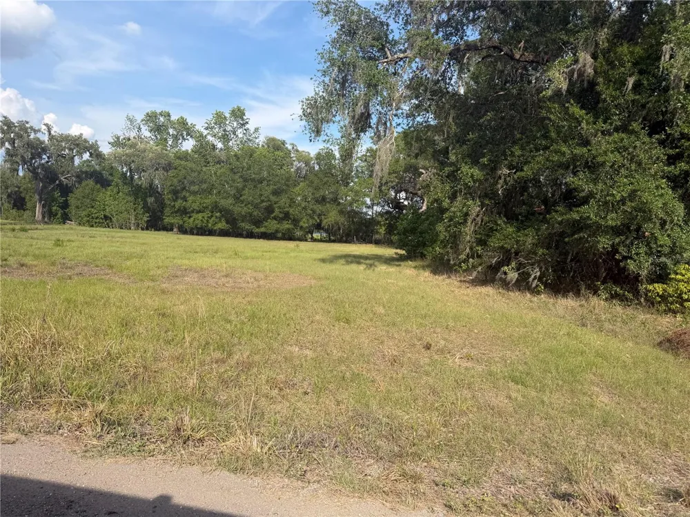 000 PALOMINO LAKES DR Dade City, FL 33523