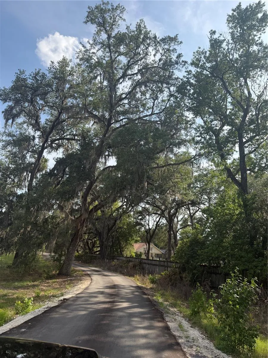 000 PALOMINO LAKES DR Dade City, FL 33523
