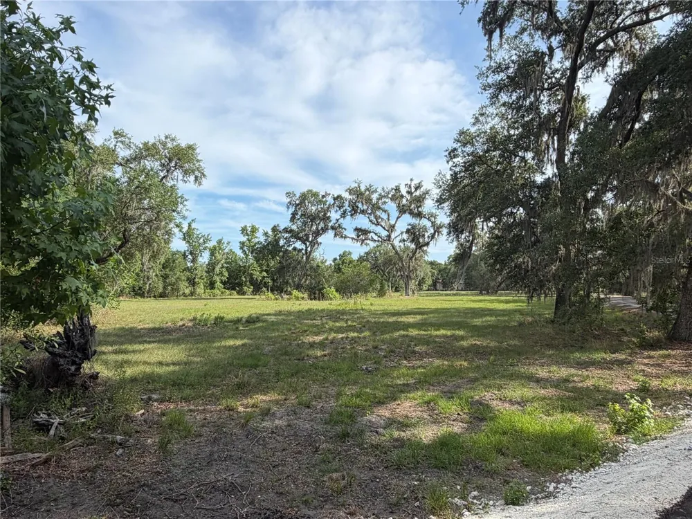 000 PALOMINO LAKES DR Dade City, FL 33523