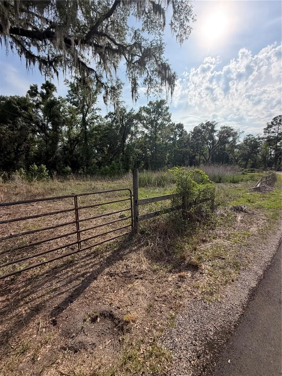 000 PALOMINO LAKES DR Dade City, FL 33523