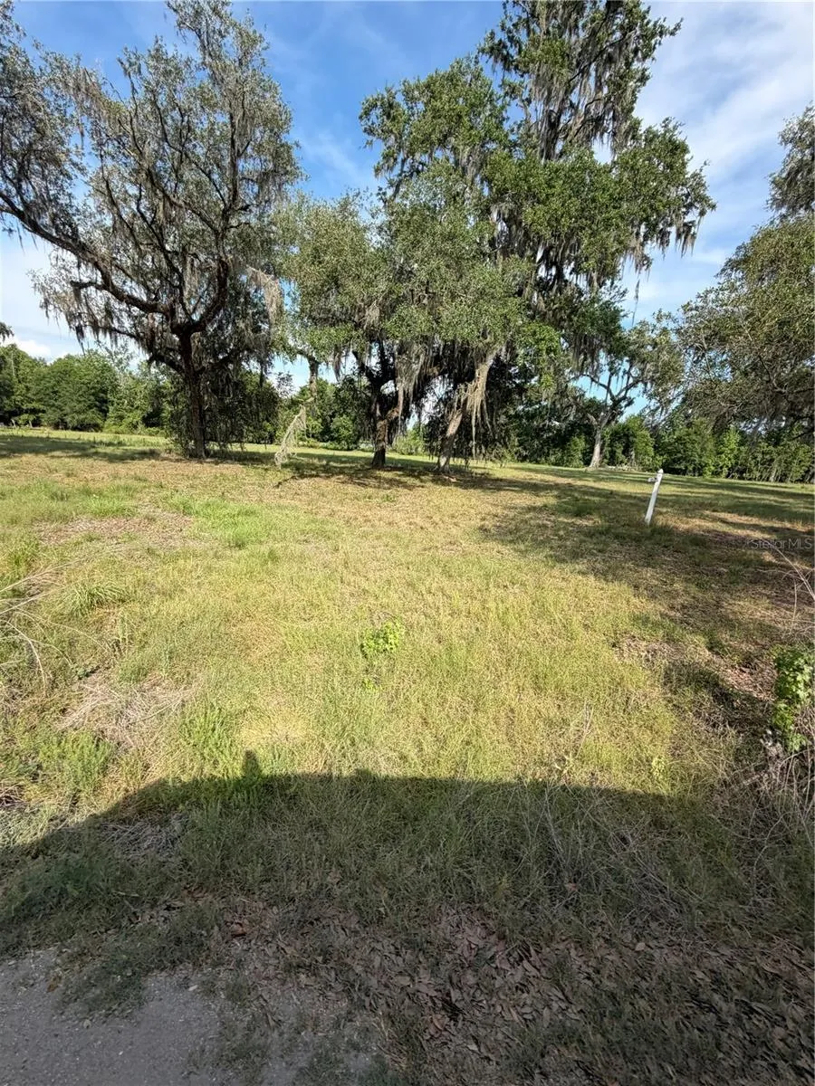 000 PALOMINO LAKES DR Dade City, FL 33523