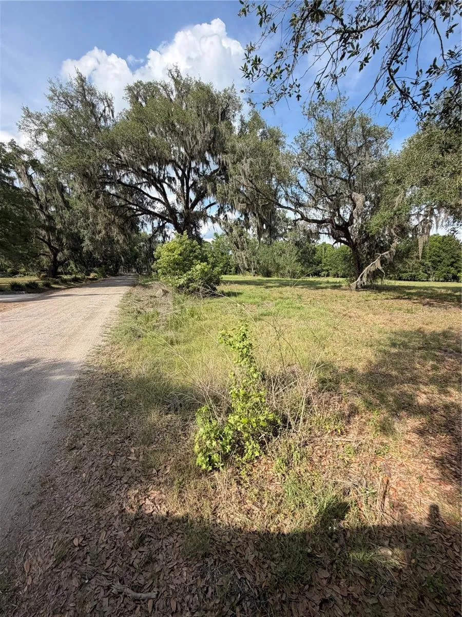 000 PALOMINO LAKES DR Dade City, FL 33523