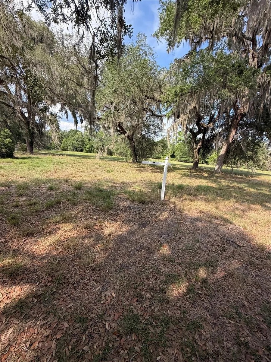000 PALOMINO LAKES DR Dade City, FL 33523