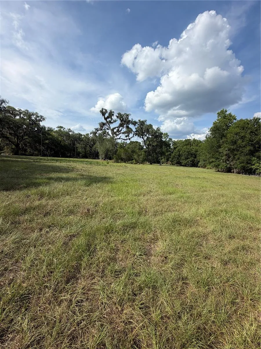 000 PALOMINO LAKES DR Dade City, FL 33523