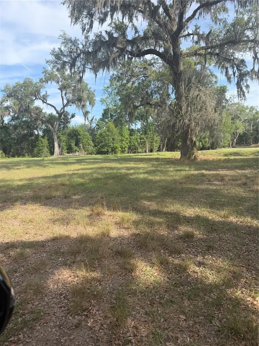000 PALOMINO LAKES DR Dade City, FL 33523