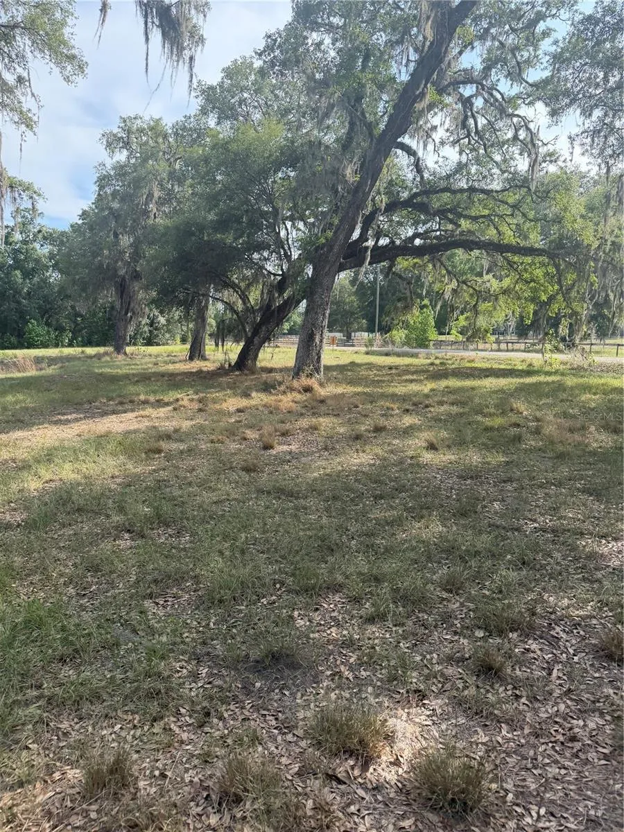 000 PALOMINO LAKES DR Dade City, FL 33523