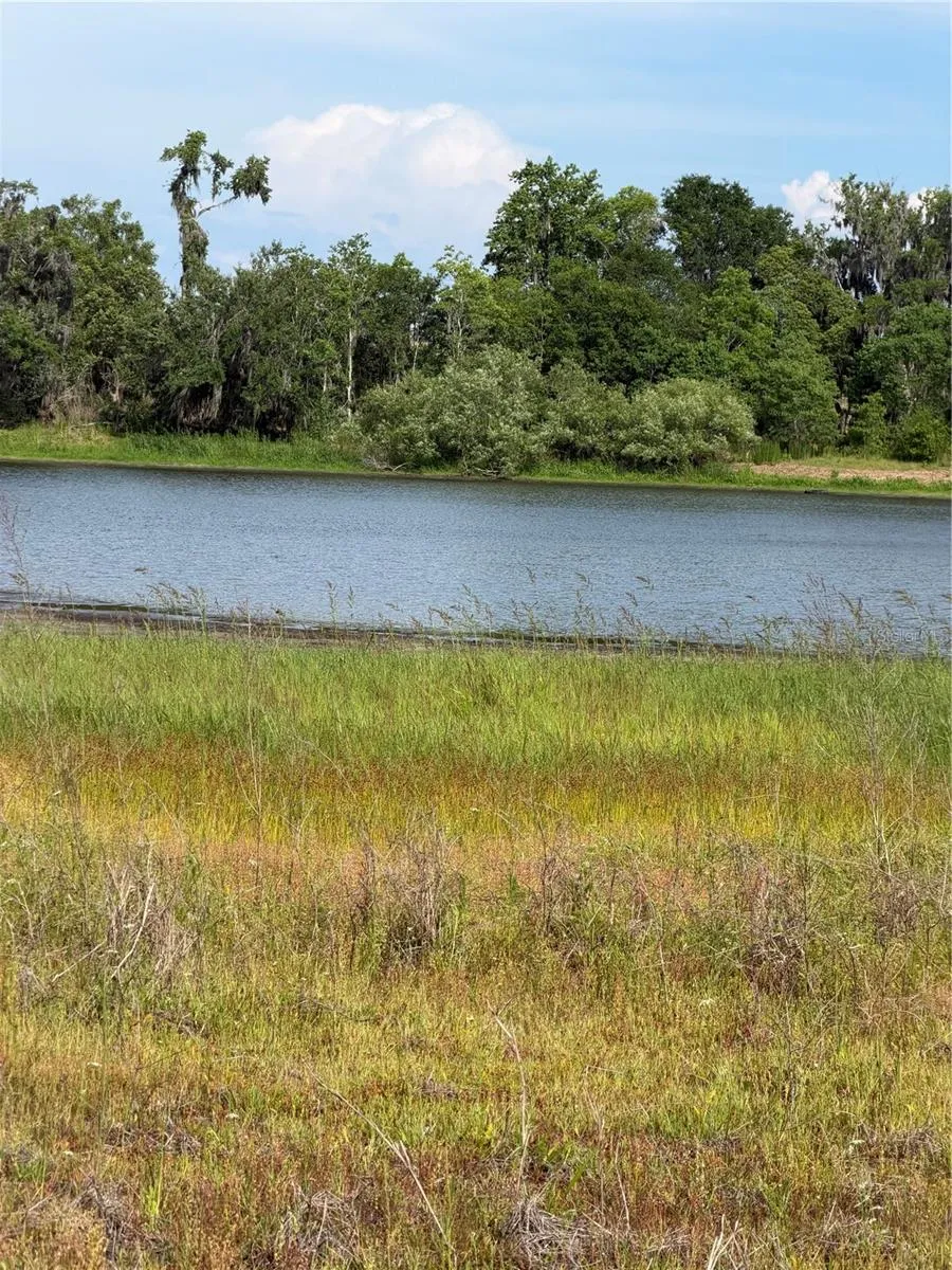 000 PALOMINO LAKES DR Dade City, FL 33523