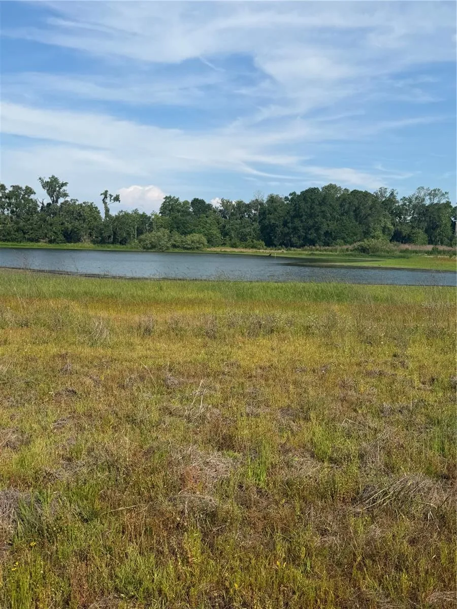 000 PALOMINO LAKES DR Dade City, FL 33523
