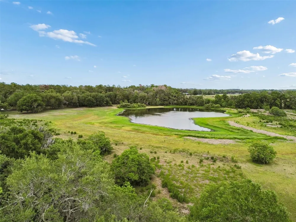 000 PALOMINO LAKES DR Dade City, FL 33523