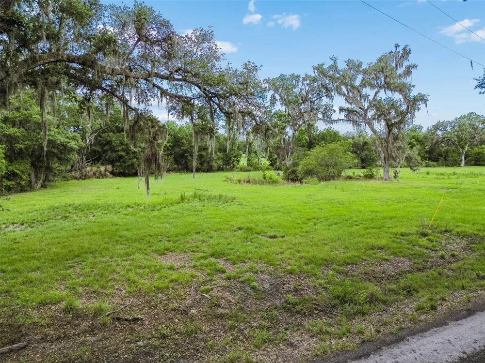 000 PALOMINO LAKES DR Dade City, FL 33523