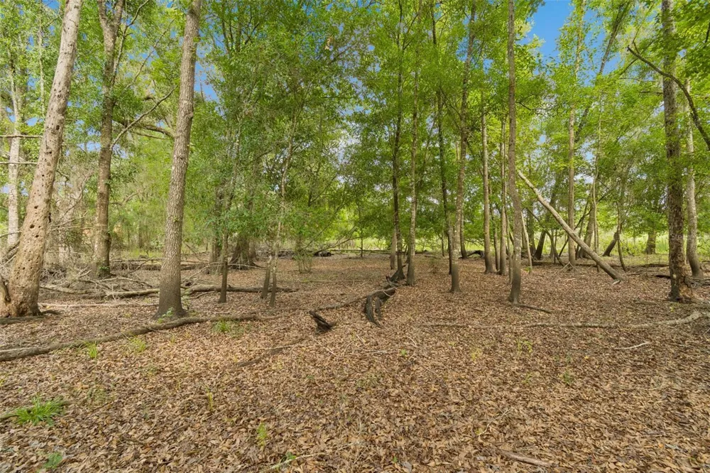000 PALOMINO LAKES DR Dade City, FL 33523