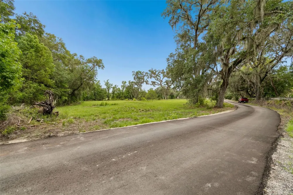 000 PALOMINO LAKES DR Dade City, FL 33523