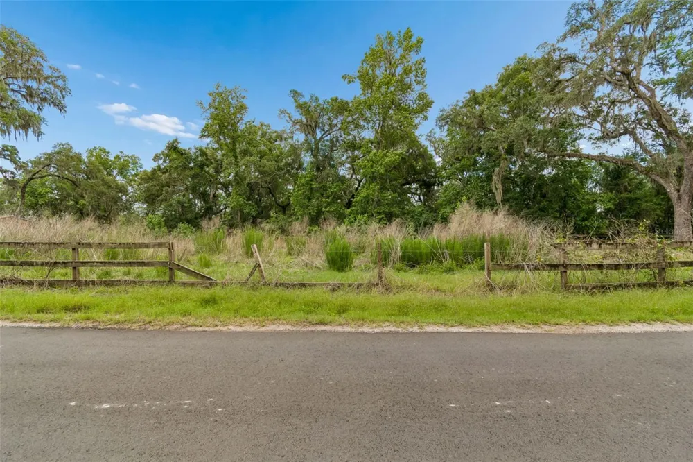 000 PALOMINO LAKES DR Dade City, FL 33523