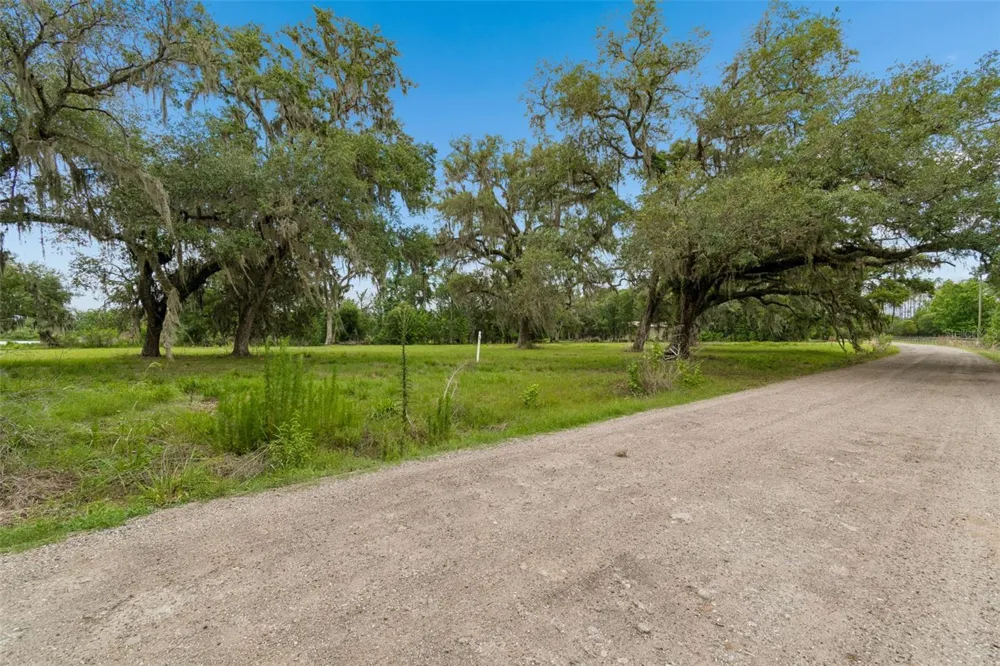 000 PALOMINO LAKES DR Dade City, FL 33523