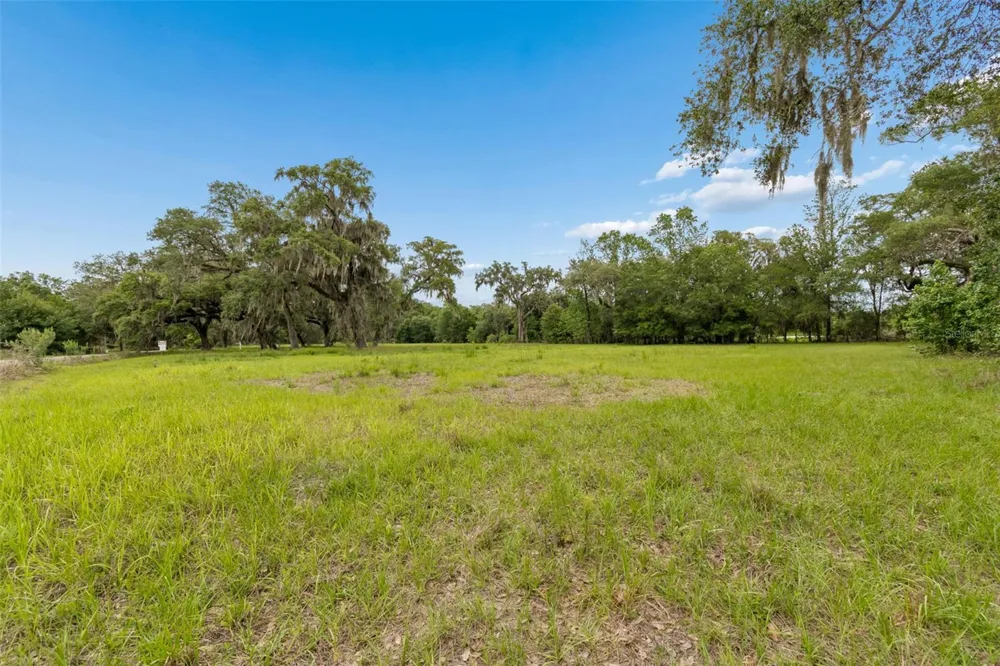 000 PALOMINO LAKES DR Dade City, FL 33523