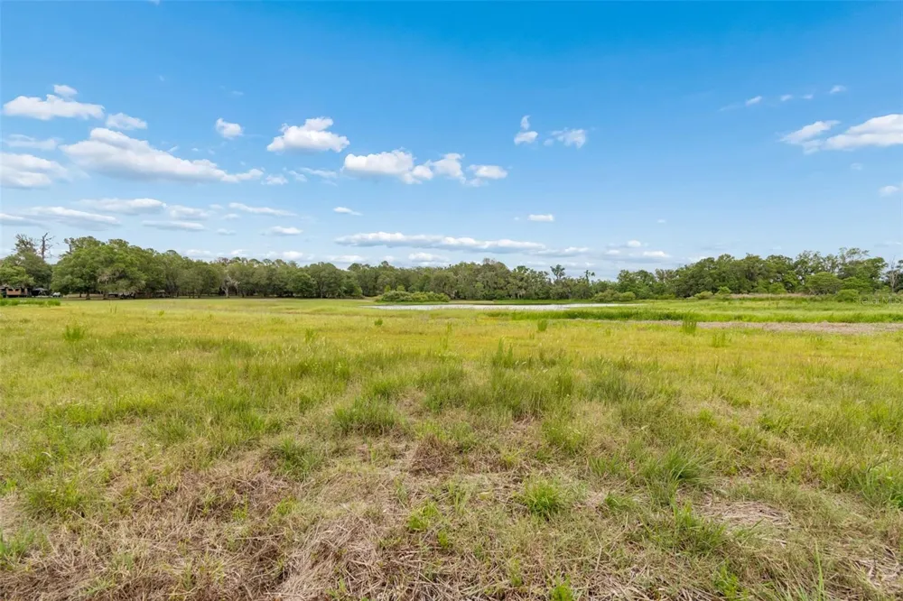 000 PALOMINO LAKES DR Dade City, FL 33523
