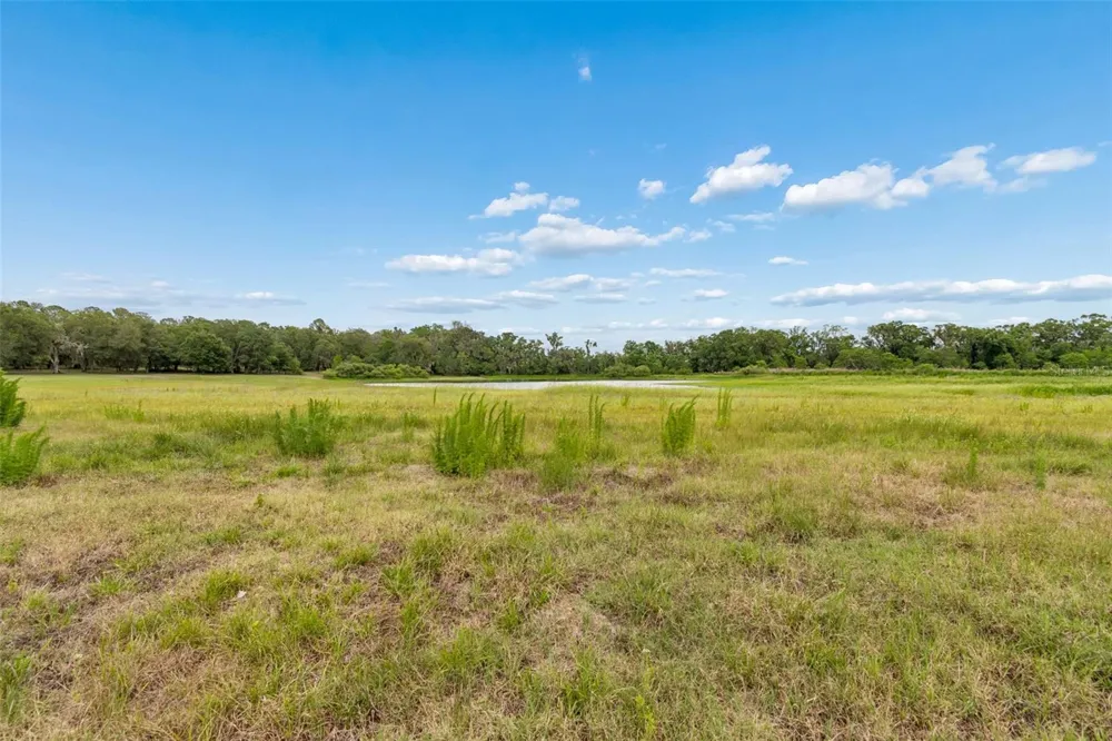 000 PALOMINO LAKES DR Dade City, FL 33523