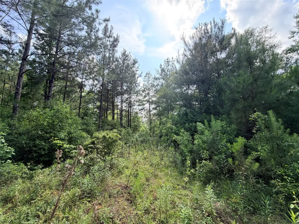 345 Private Road 8512 Warren, TX 77624